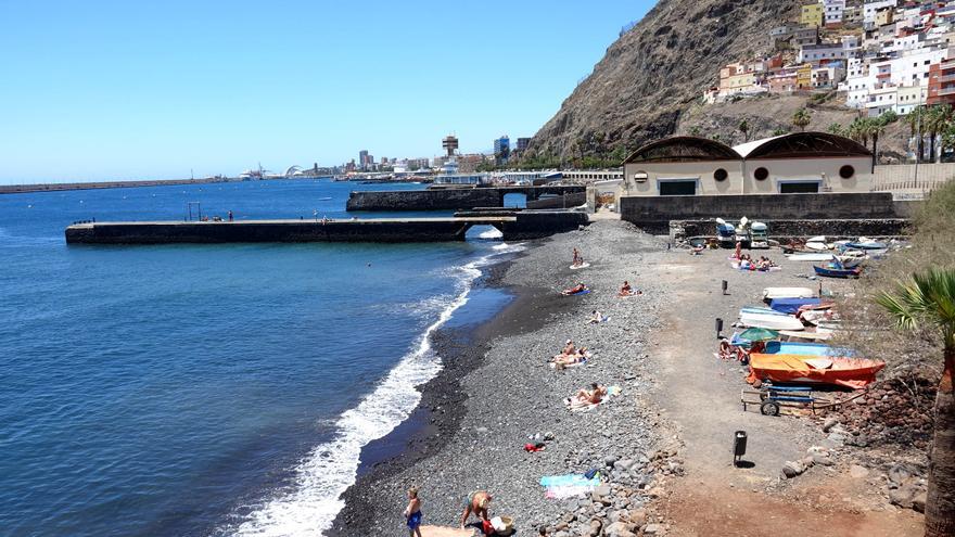 Santa Cruz permite el acceso con perros en la playa Acapulco