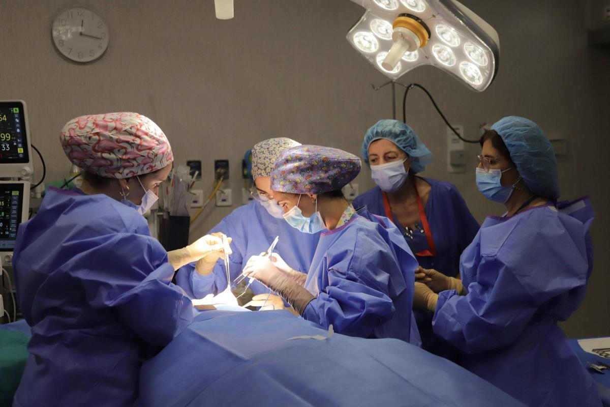 Aplicación de radioterapia intraoperatoria en el hospital Reina Sofía para cáncer de mama.