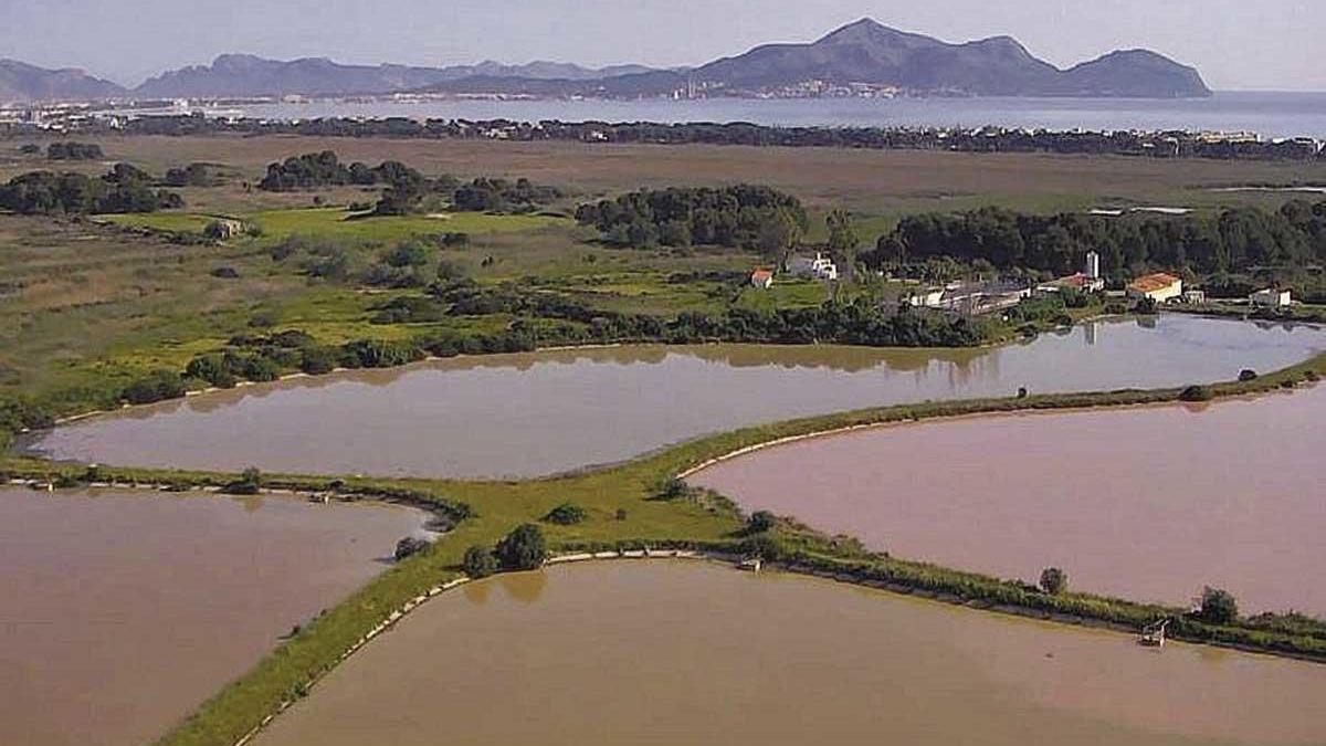 Panorámica del lugar donde se sitúa la depuradora de Can Picafort.