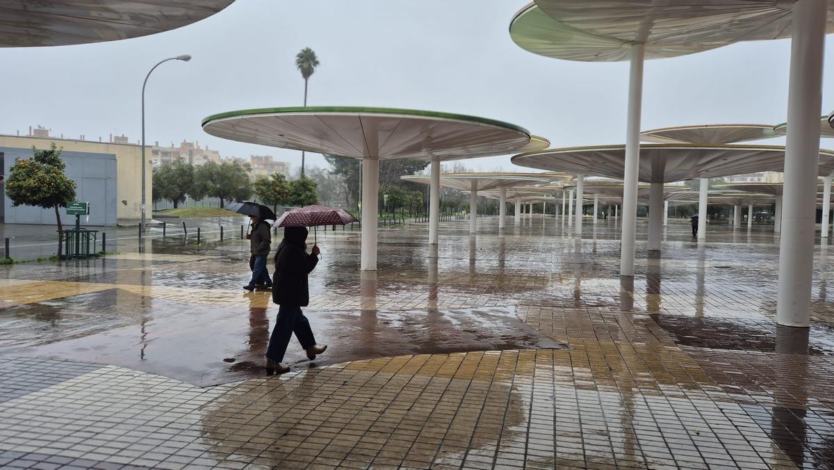 Mercadillo de las Setas el martes pasado.