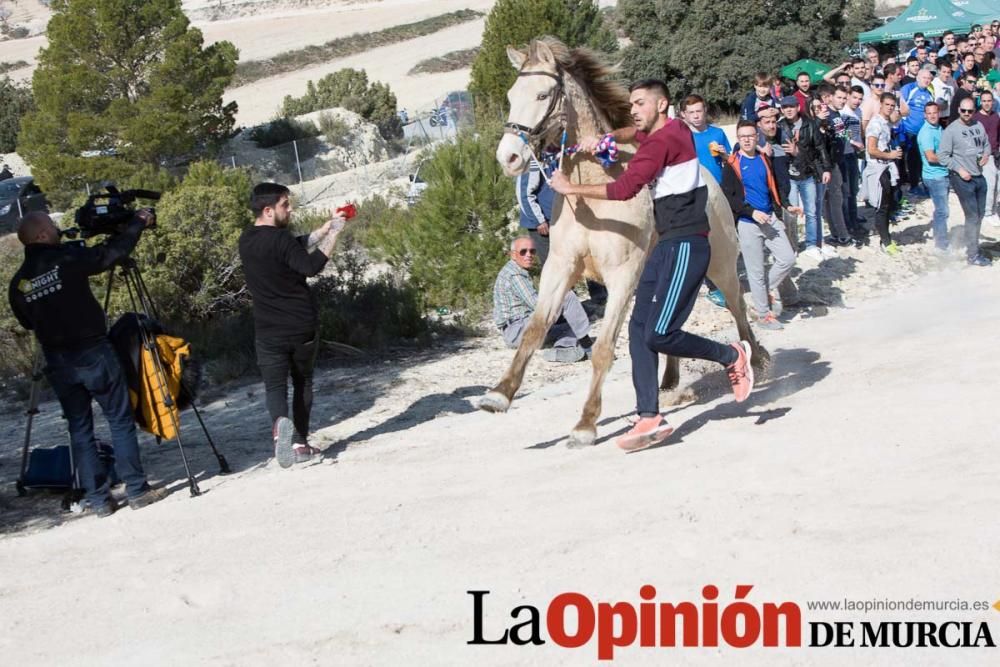 Entrenamiento Caballos del Vino