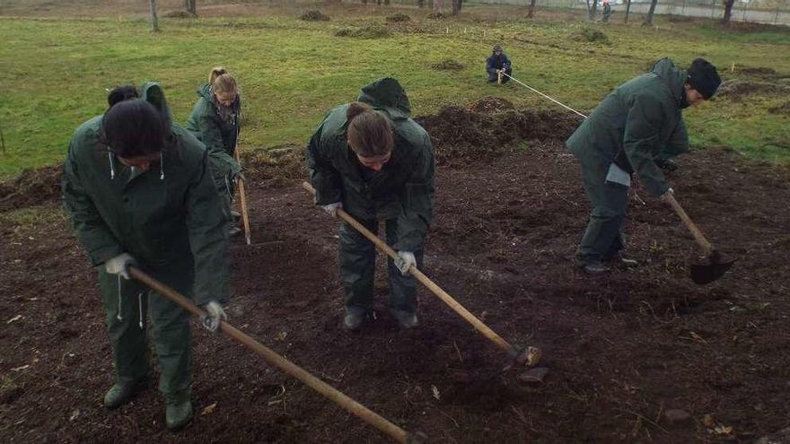 Varios alumnos del taller de empleo, en la finca en que se construirá la residencia de mayores.