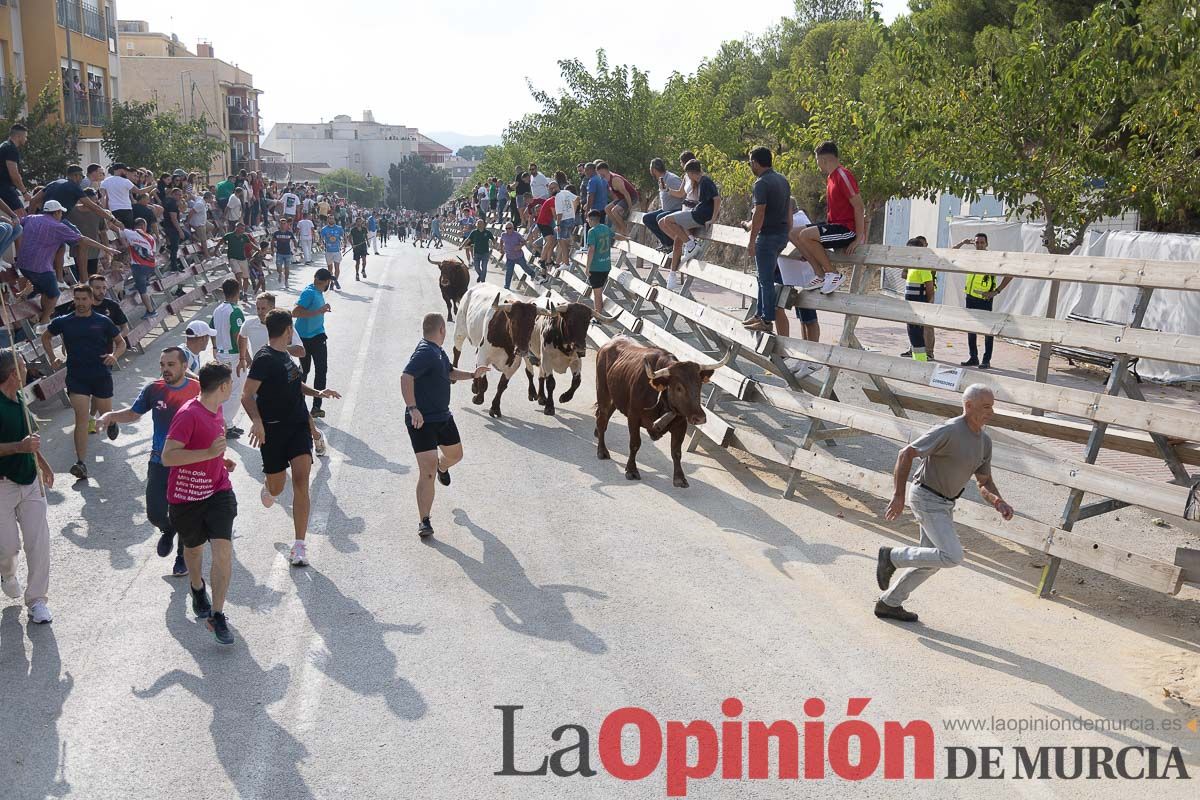 Quinto encierro de la Feria Taurina del Arroz en Calasparra