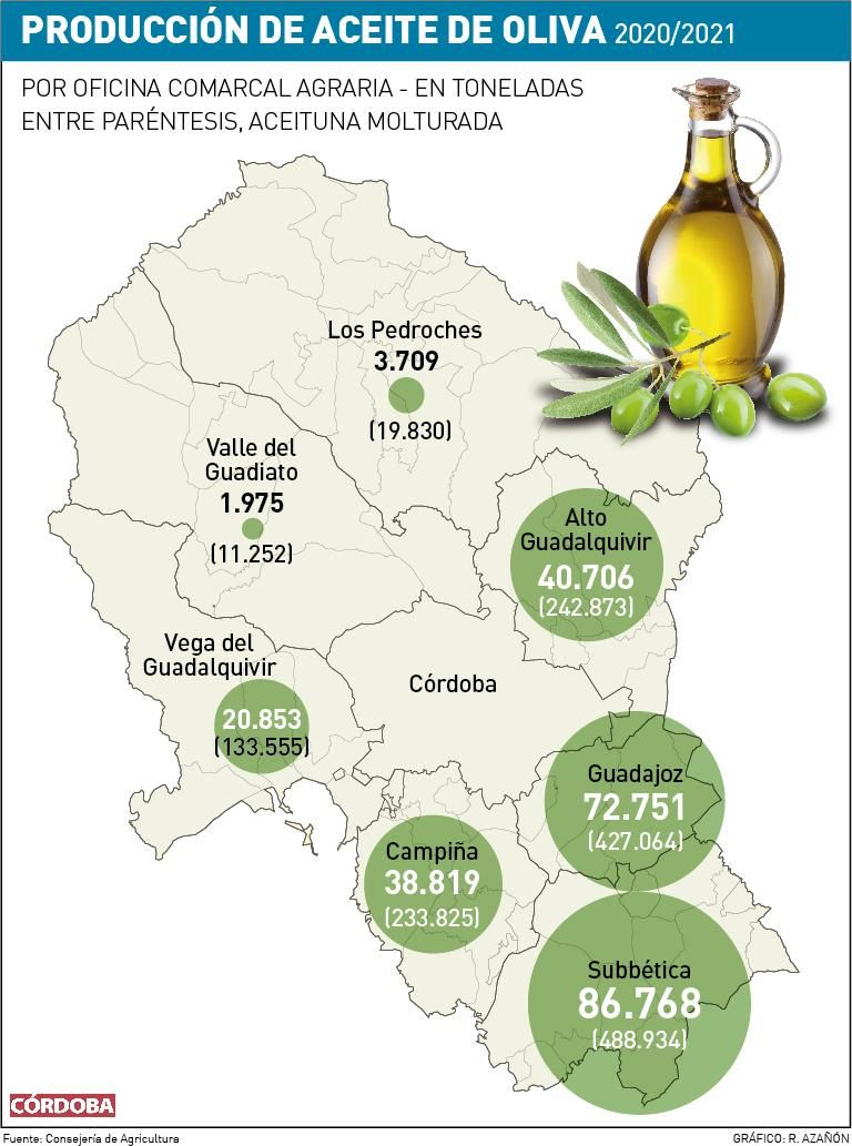 Producción de aceite de oliva en Córdoba.