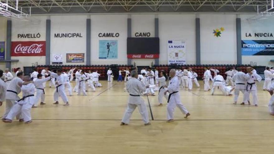 La Nucia acoge un encuentro de Karate nacional