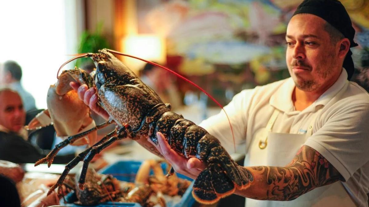 Los Marinos José