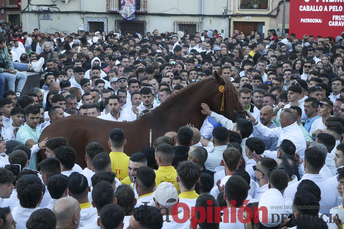 Entrega de premios del concurso de 'Caballo a pelo' en Caravaca