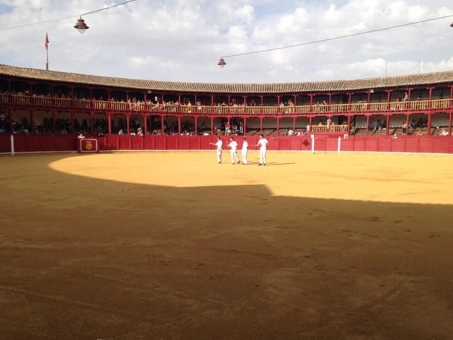 Fiestas Toro- concurso de jóvenes cortadores