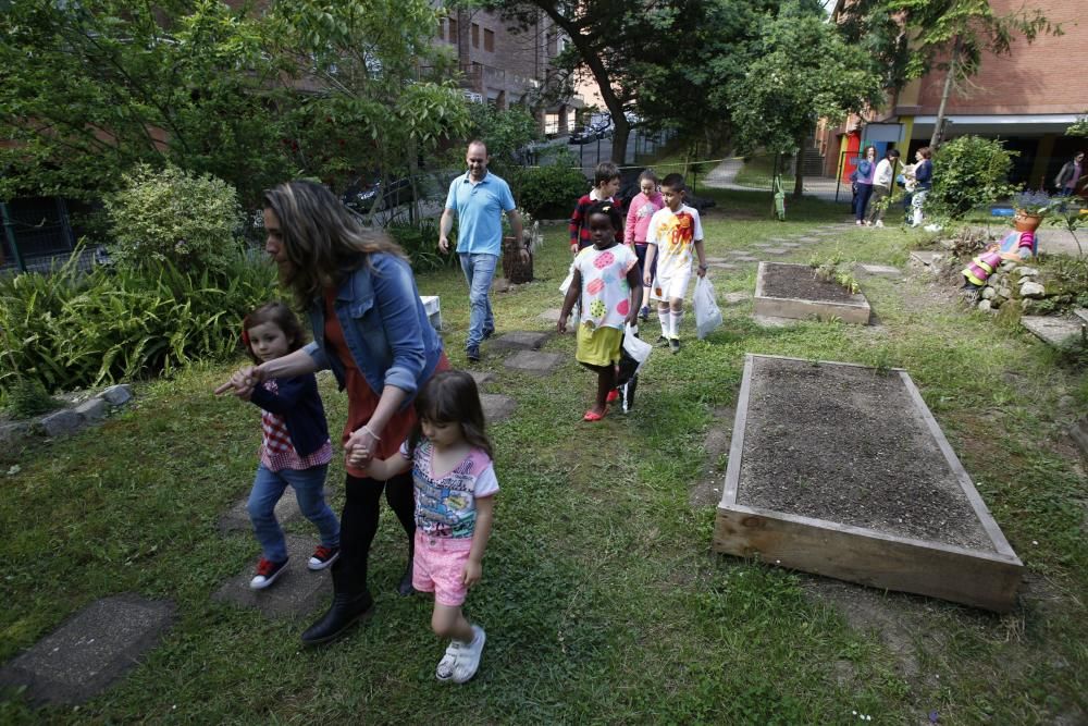 El colegio Quirinal estrena huerto.