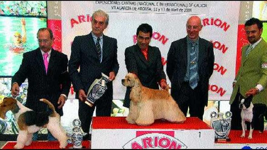 Los vencedores de las Exposiciones Internacional y Nacional Canina posan en el podio con sus propietarios y cuidadores. / IÑAKI ABELLA