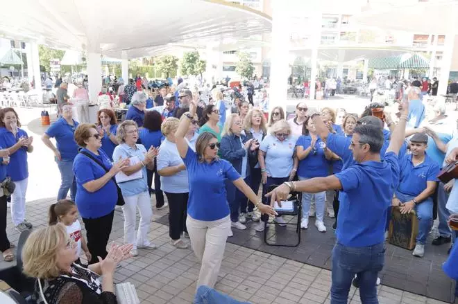 El día de convivencia de las peñas cordobesas, en imágenes