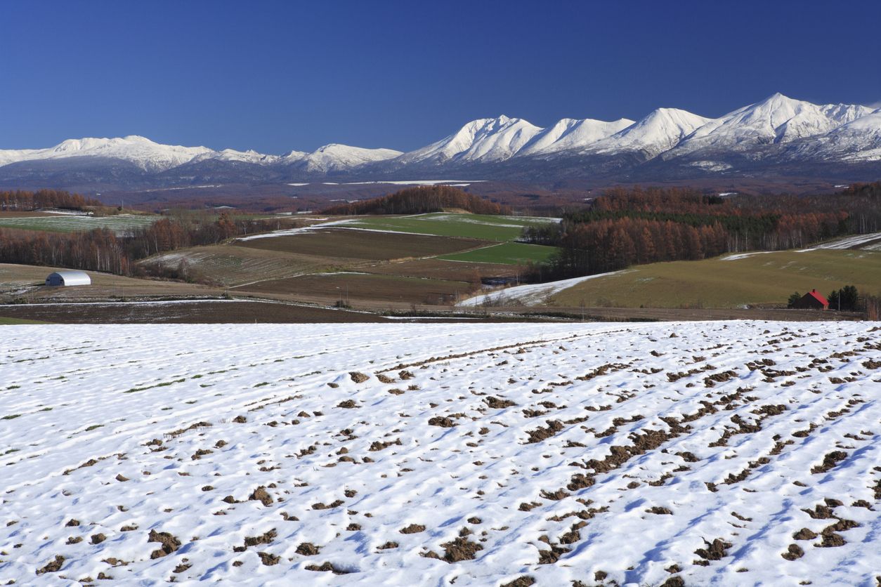 En invierno se pasa de los mil colores a un escenario blanco en Hokkaido.