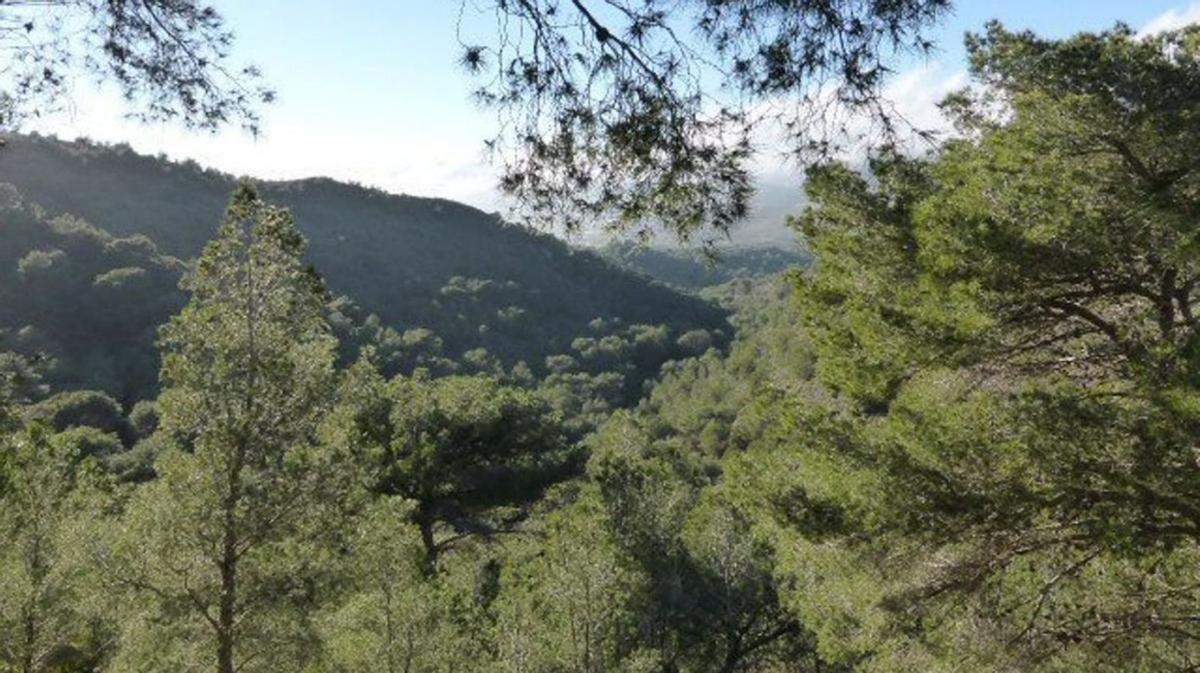 Parque Natural Calblanque, en la Región de Murcia. | EFE