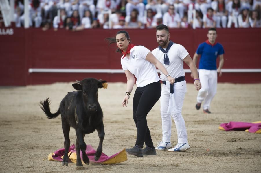 Becerrada, encierros y vaca de la sangría