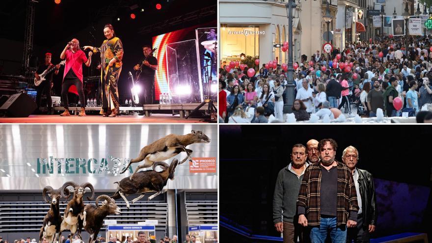 De la Shopping Night a Intercaza, y con Camela en Califas Fest: primer finde de junio a lo grande en Córdoba