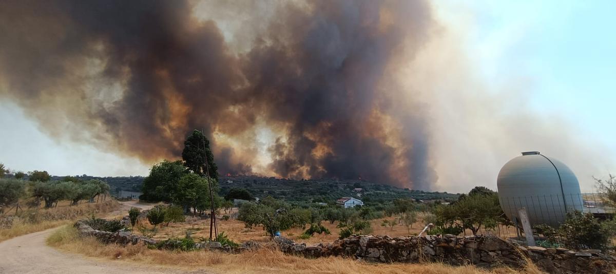 GALERÍA | Un incendio forestal amenaza Fermoselle