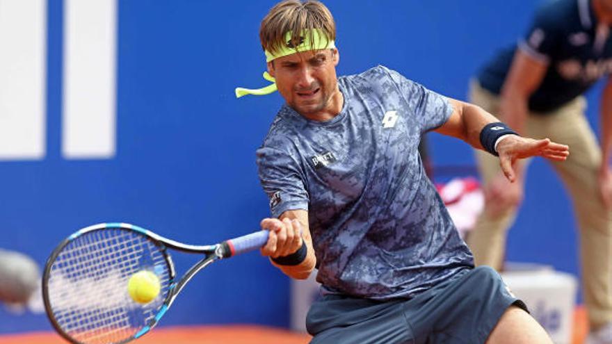 David Ferrer