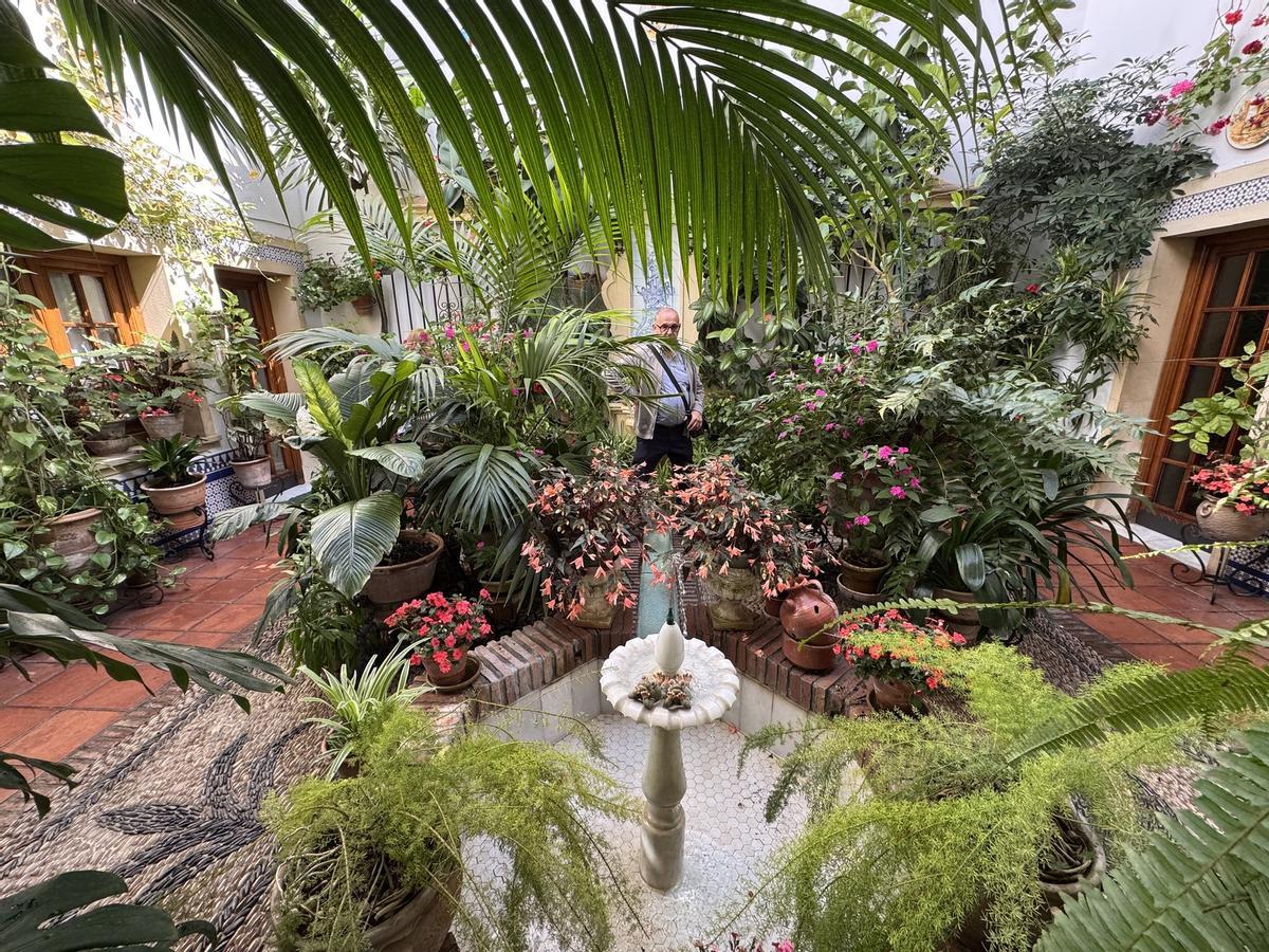 La Ruta 4 de los Patios de Córdoba, en imágenes