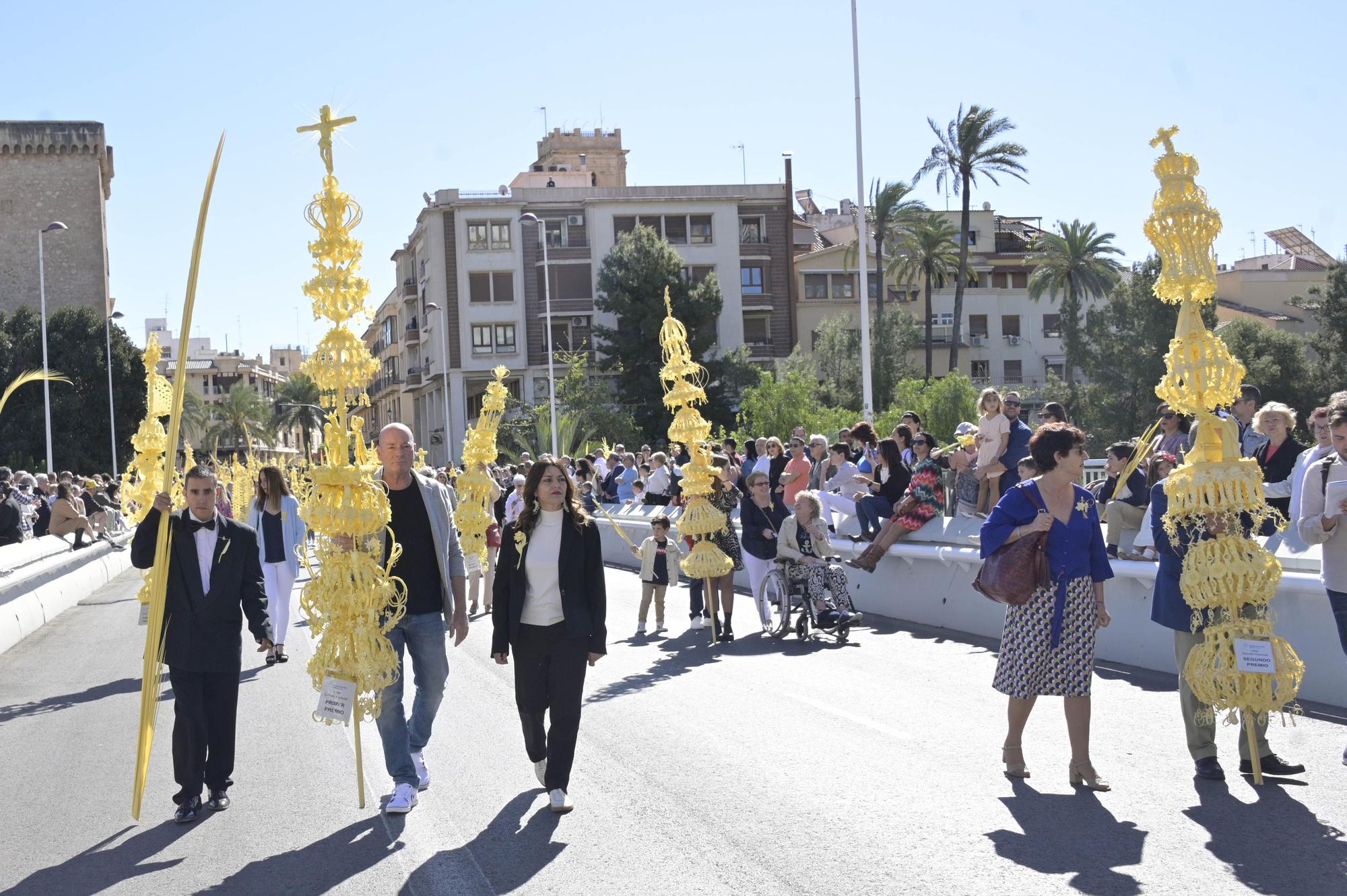 Domingo de Ramos en Elche