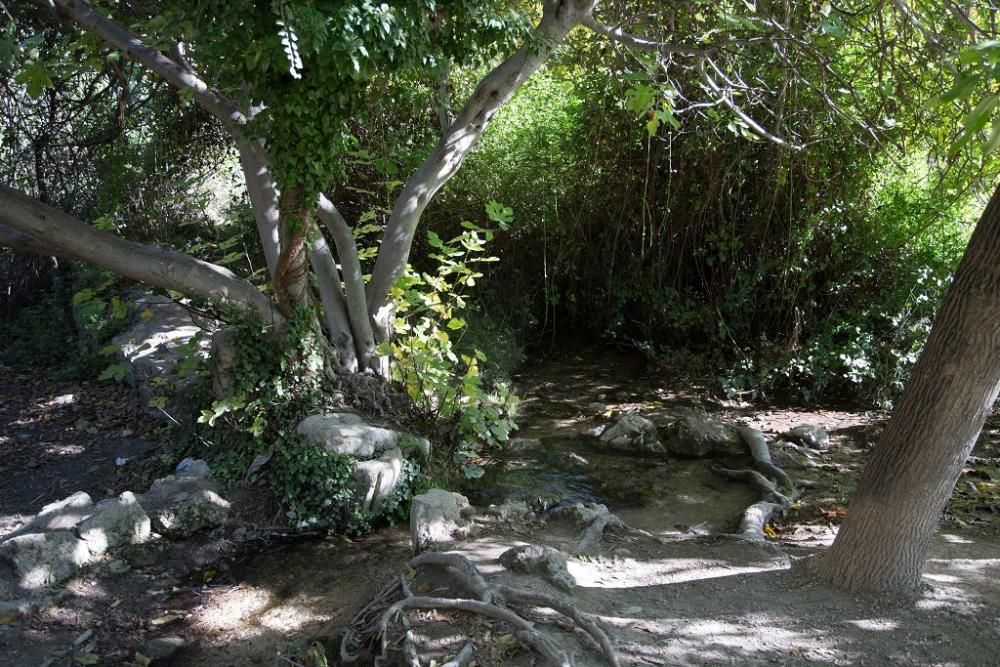 Fuentes del Marques: El otoño nace en Caravaca