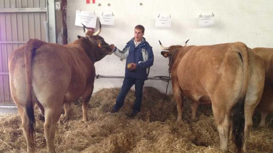 Adrián García con dos de sus vacas ganadoras, ayer, en el recinto ferial.