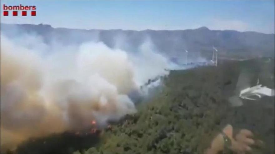 Incendi a la Collada del Perelló: les flames ja han calcinat 150 hectàrees de bosc