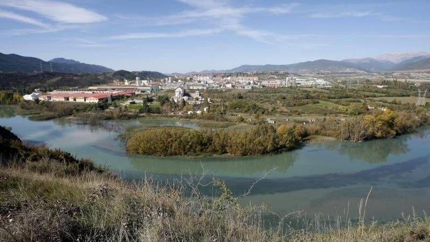 Aragón y la UZ colaboran para llamar la atención de Europa sobre el lindano