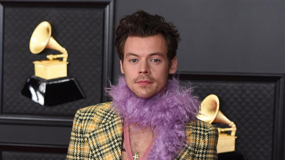 Atención a la nueva película que va a rodar Harry Styles