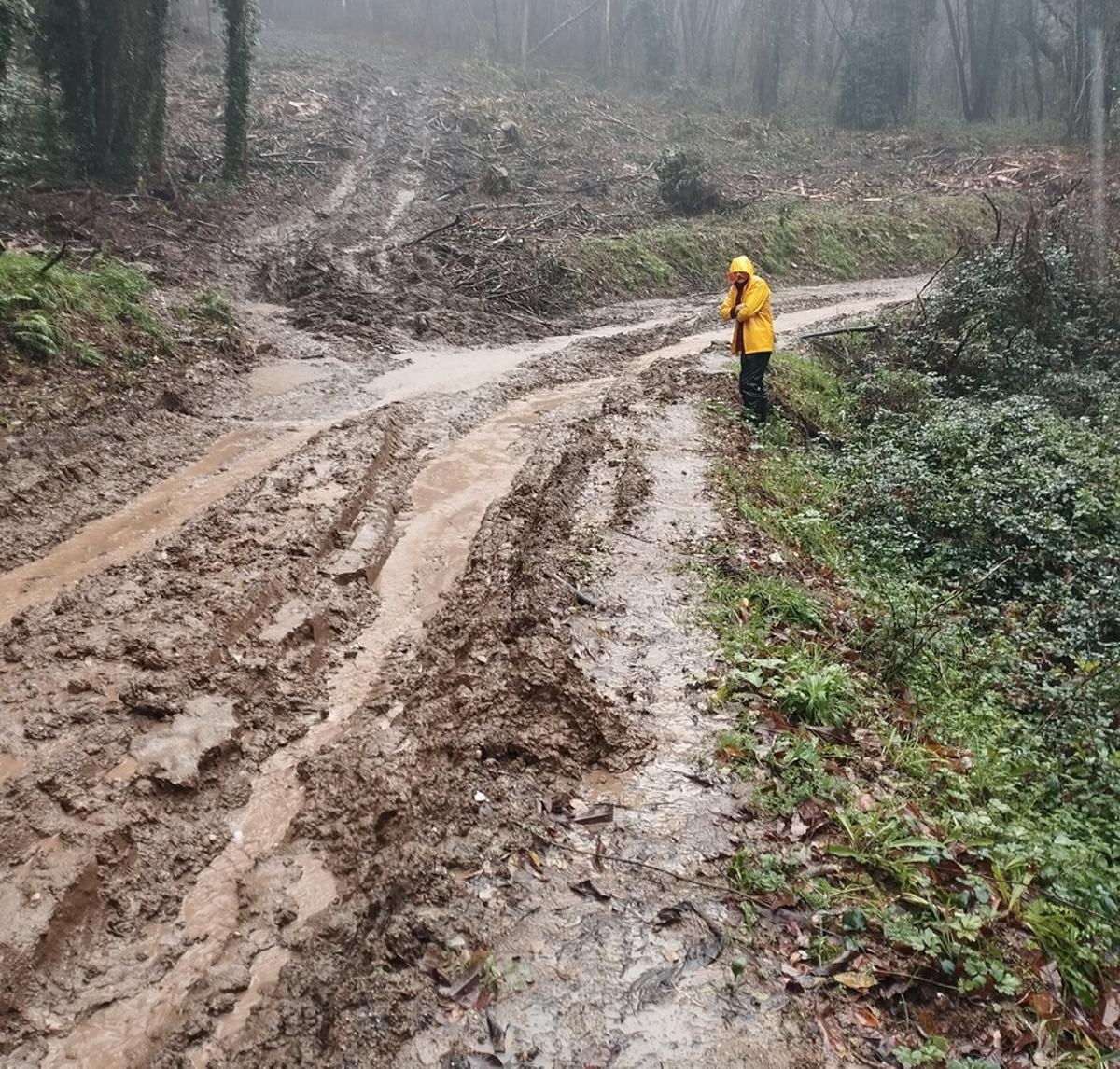 Un vecino de Carnoedo en un camino intransitable por las talas.