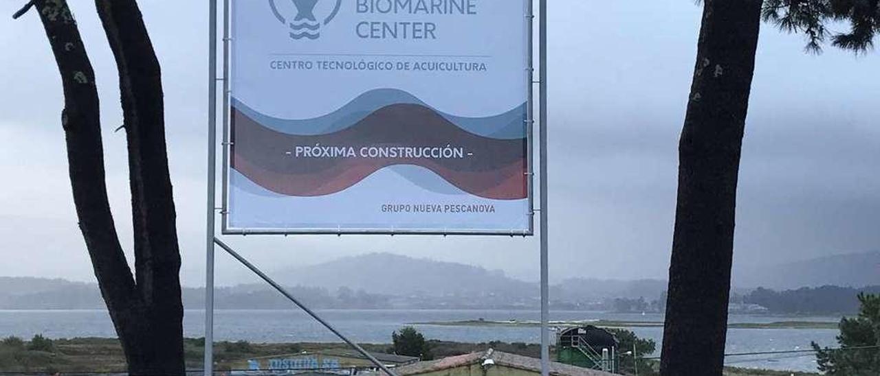 Las instalaciones mecas de Insuíña, futura sede del &quot;Pescanova BioMarine Center&quot;. // Muñiz
