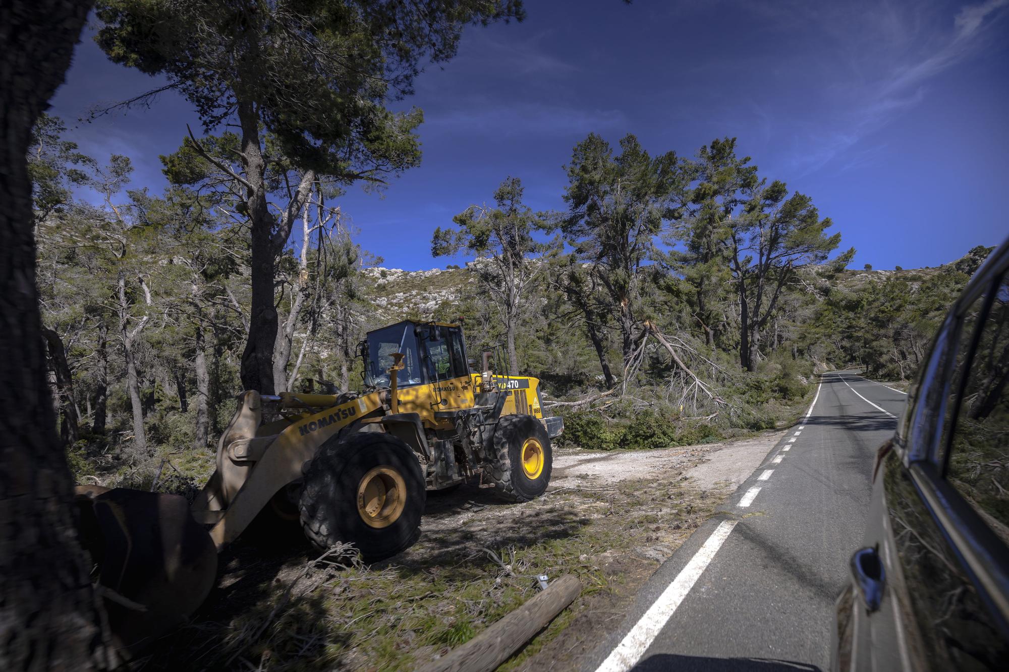 Schönheit und Verwüstung: Die Serra de Tramuntana nach dem Sturmtief Juliette