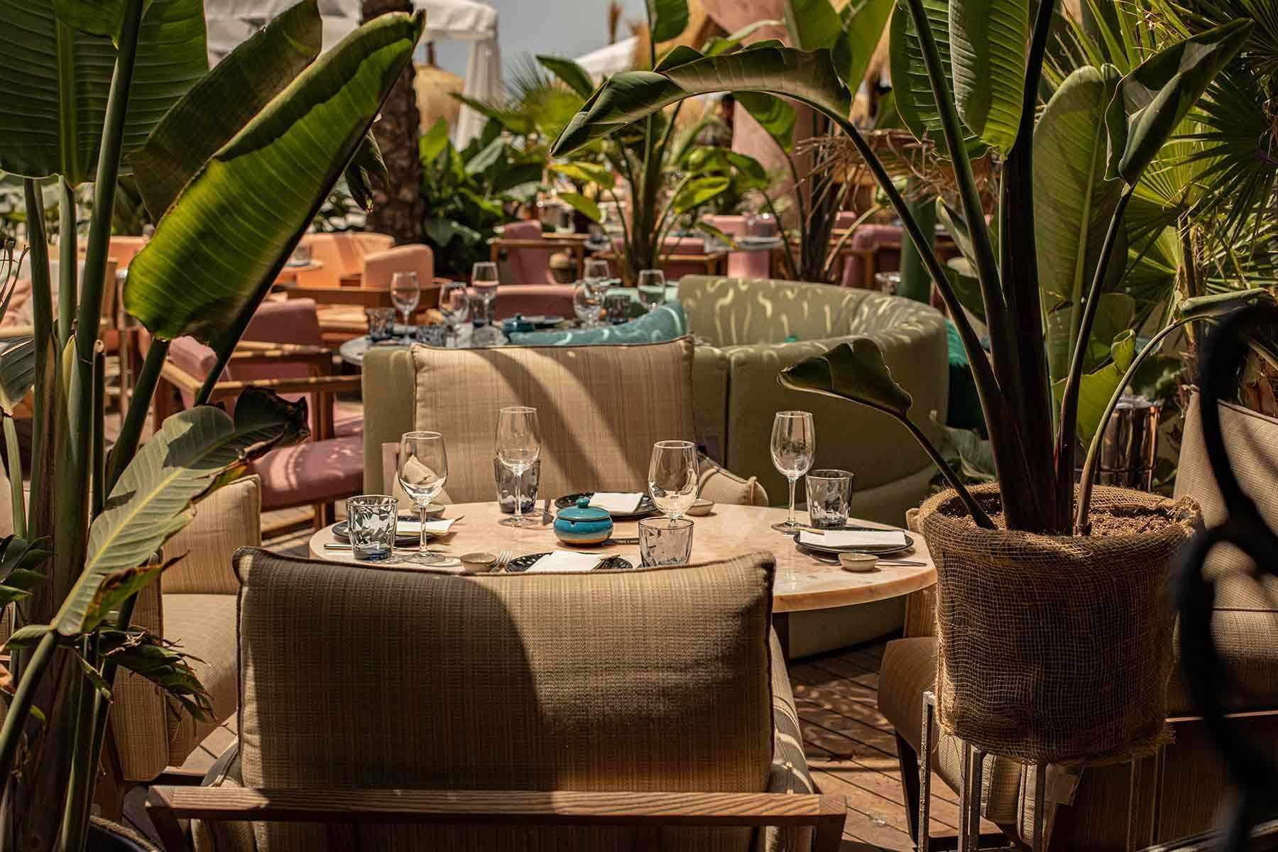 ¡Un agosto para comérselo!: restaurante Salvaje