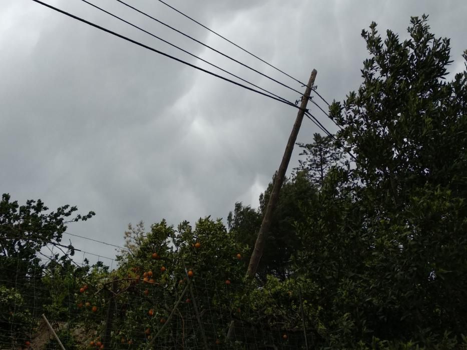 El temporal de viento provoca numerosos inciedentes en Sóller