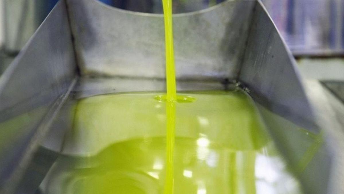 La escasa cosecha de las últimas campañas está repercutiendo en los elevados precios del aceite de oliva.