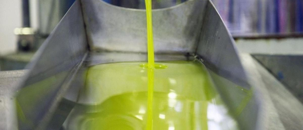La escasa cosecha de las últimas campañas está repercutiendo en los elevados precios del aceite de oliva.