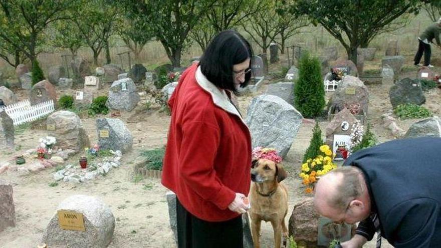 Imagen del cementerio de animales de Valencia.