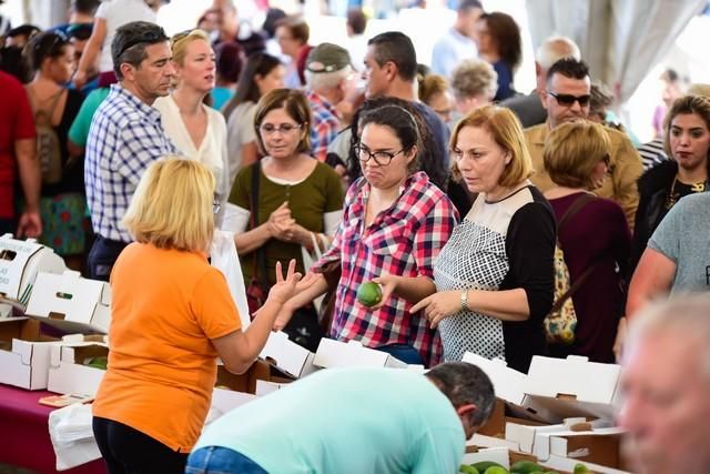 II Feria del Aguacate en Arguineguín