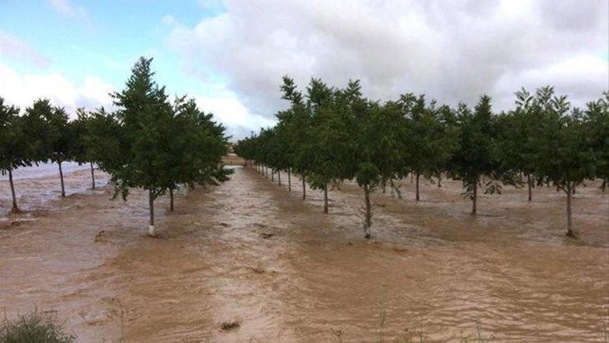 Ojo con estos bulos que circulan de la gota fría