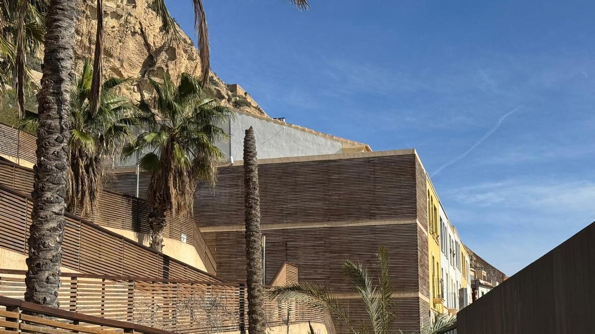 Las fuertes rachas de viento derriban una palmera en la Ereta