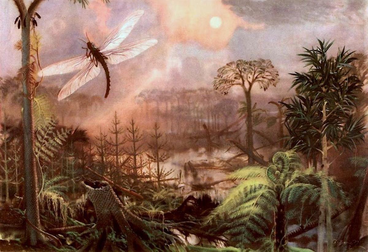 Paisaxe do período carbonífero. | FDV