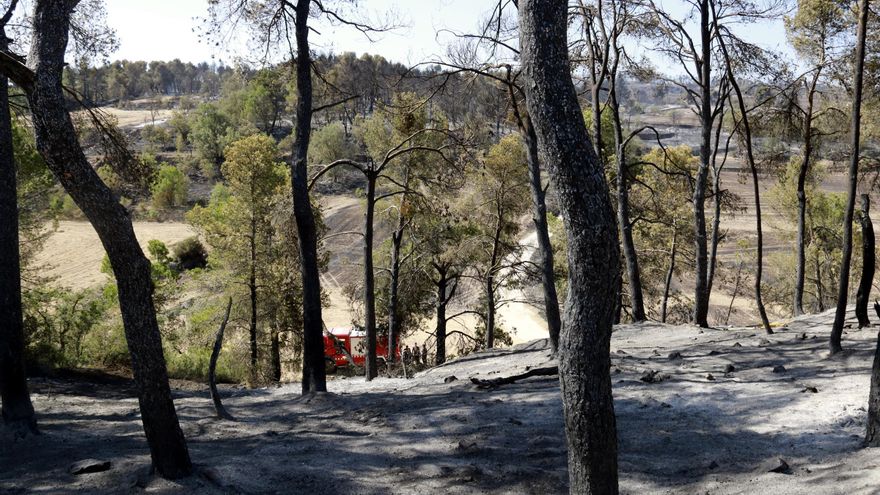 Estabilitzat l&#039;incendi de Ciutadilla, que ha revifat aquest diumenge