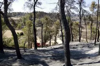 Estabilitzat l'incendi de Ciutadilla, que ha revifat aquest diumenge