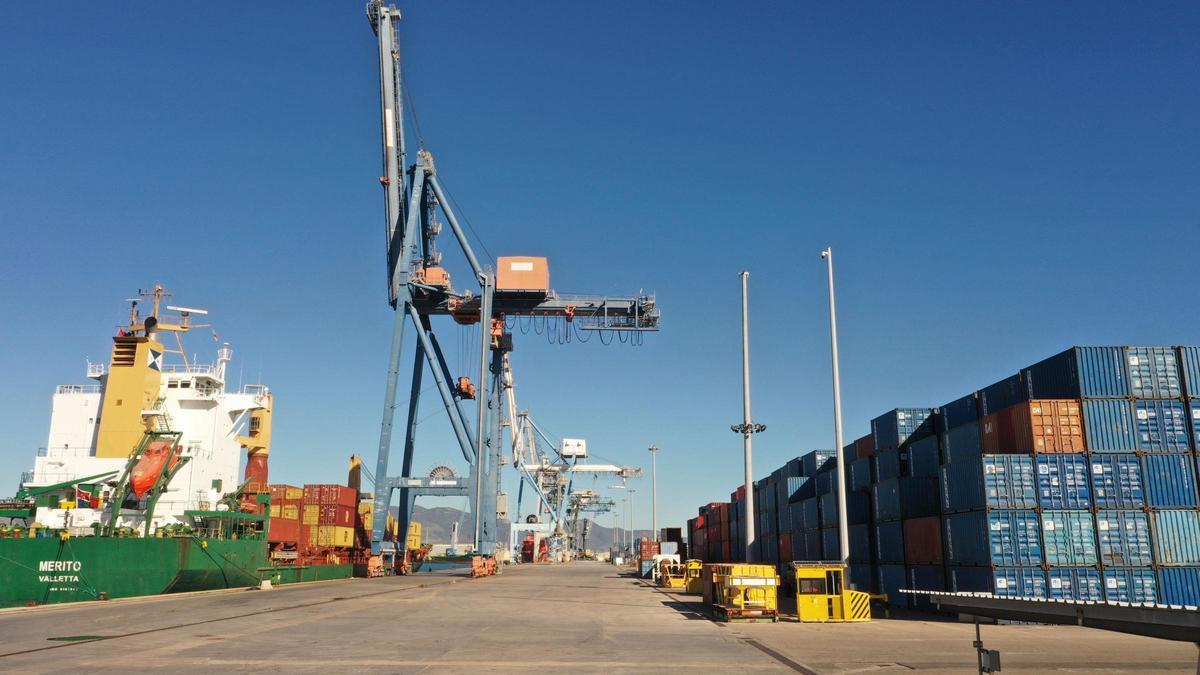 Imagen de la actividad en PortCastelló.