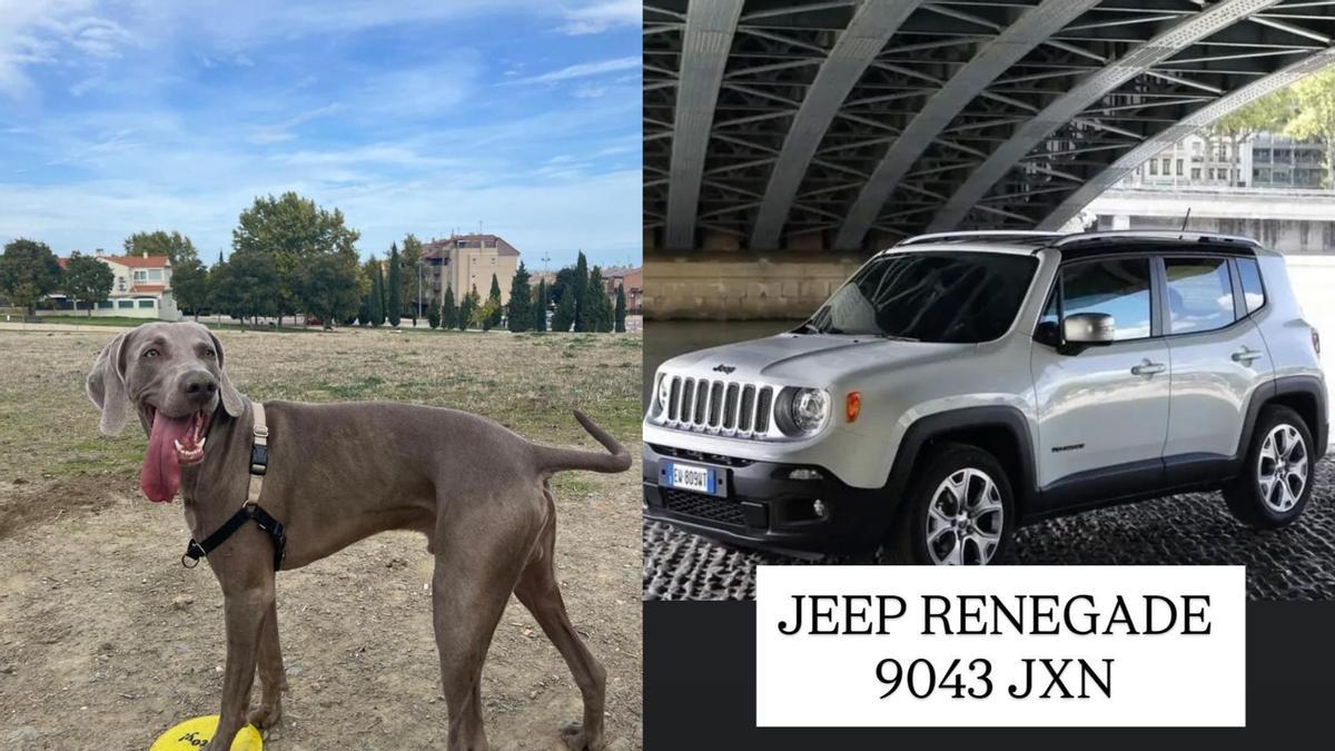 Goyo y el vehículo sustraído.