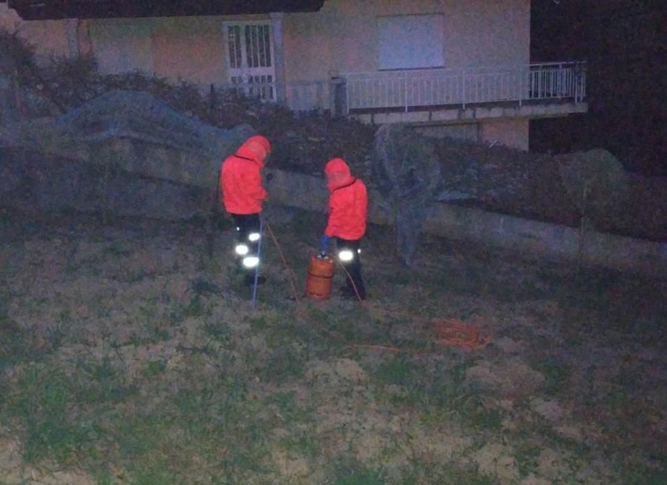 Un vecino de Poio fallece por picaduras de velutina