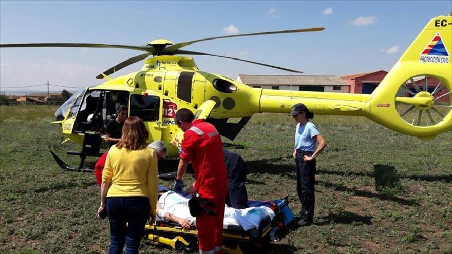 Evacuada en helicóptero tras sufrir cien picotazos de abeja