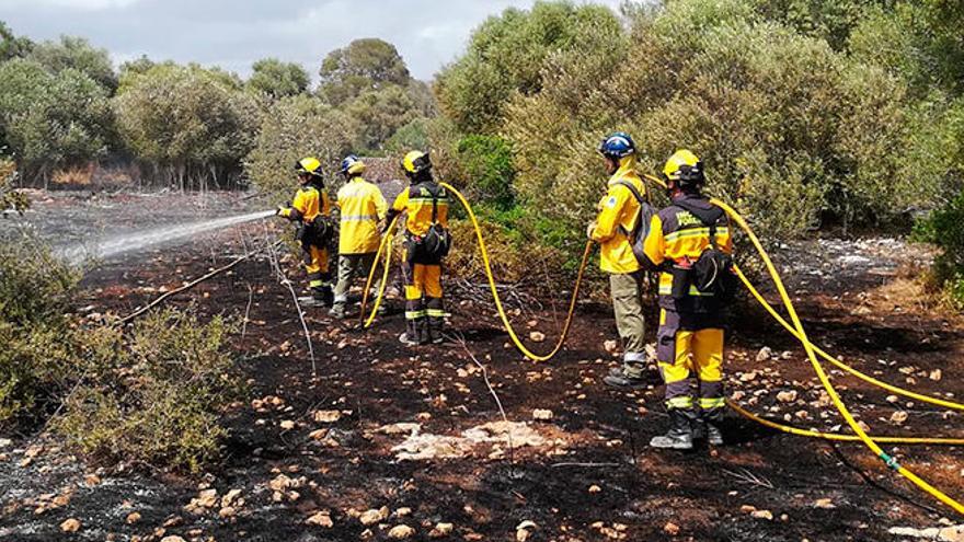 Un incendio afecta a una zona boscosa en el polígono Son Noguera de Llucmajor