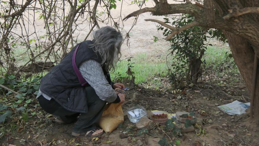 Una alimentadora de gats a la Bisbal d&#039;Empordà