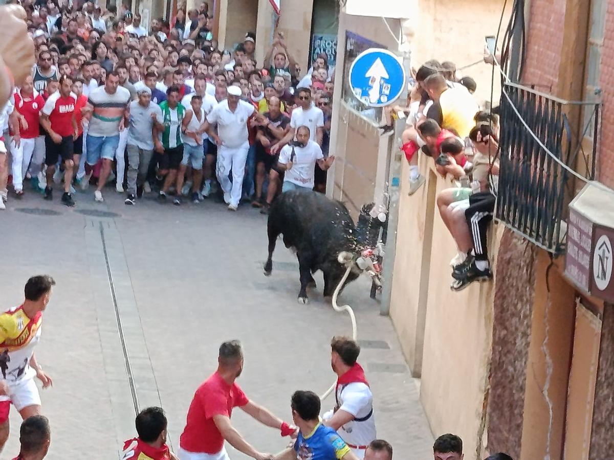 "Glorificado" a su paso por calle Herreros.