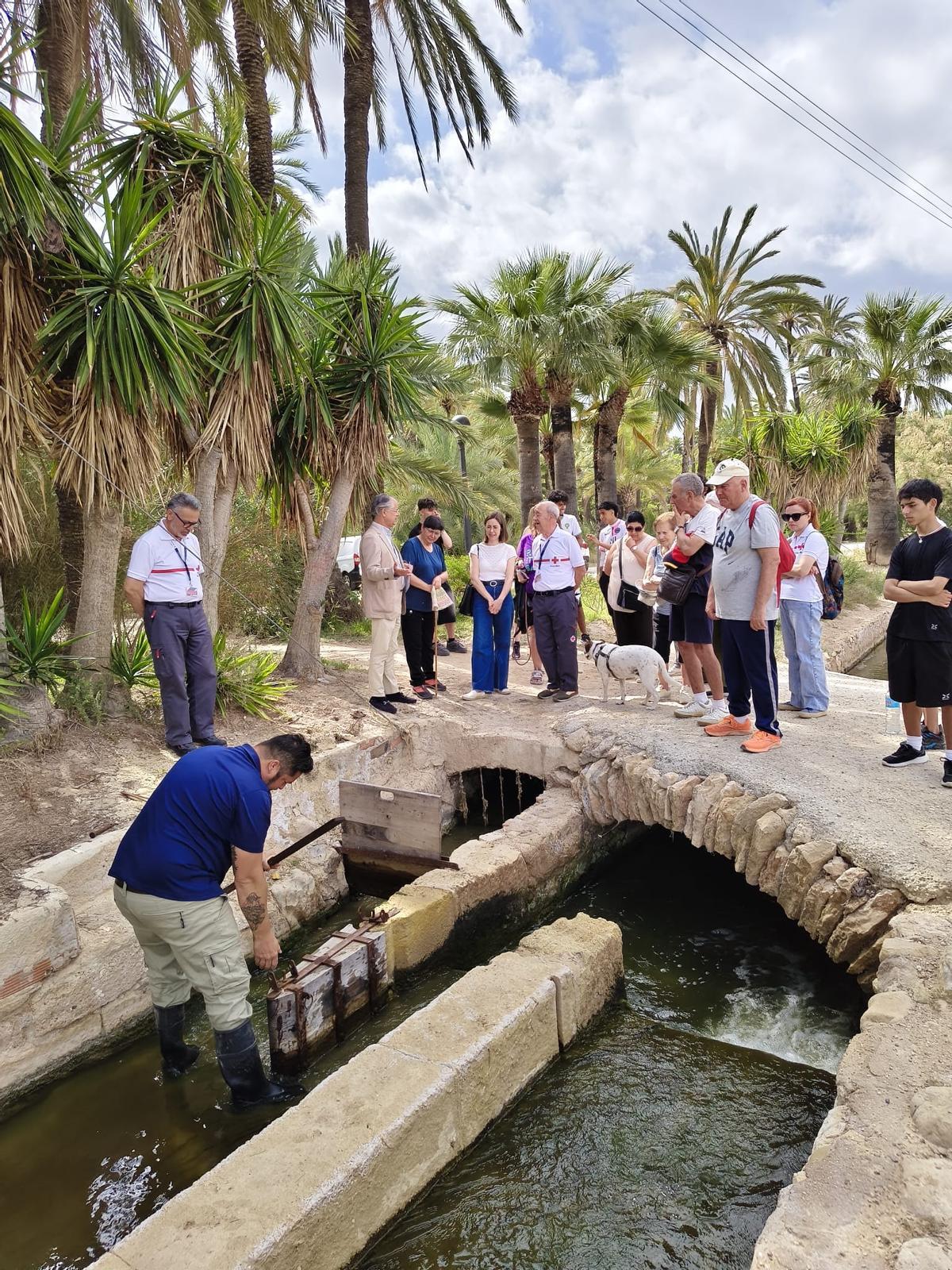 El presidente de la Acequia Mayor del Pantano, Francisco Picó, explicó el origen del agua que llega desde el Vinalopó hasta los huertos y mostró cómo se distribuye entre las acequias
